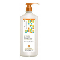 Andalou Naturals Argan Oil & Shea Moisture Rich Shampoo - Шампунь для увлажнения волос (946мл.)