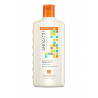 Andalou Naturals Argan Oil & Shea Moisture Rich Shampoo - Шампунь для увлажнения волос (340мл.)