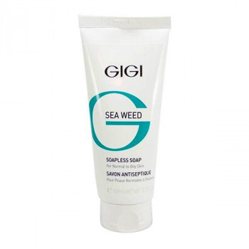GIGI Sea Weed Soapless soap - Мыло жидкое непенящееся (100мл.)